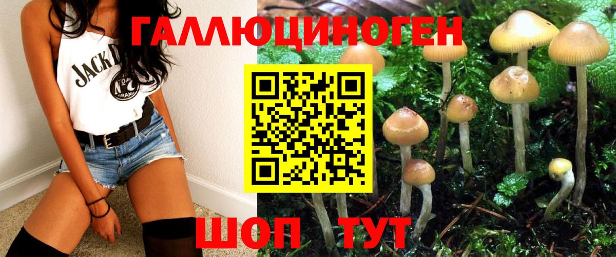 Галлюциногенные грибы Cubensis Алексеевка